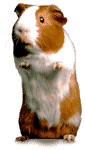 sticker_15993980_26718922