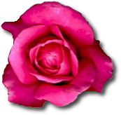 sticker_60672457_16