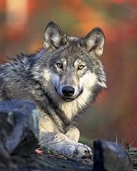 sticker_8620641_12770927