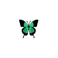 sticker_46219379_169
