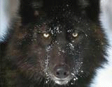 sticker_421272_730867