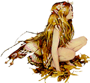 adesivo_7462647_9578242