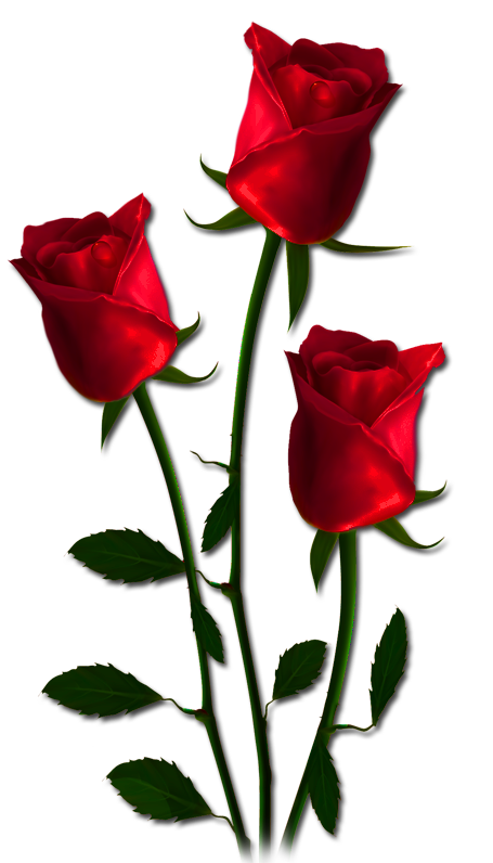 naklejka_39969907_216