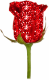 Etiqueta_577066_798527