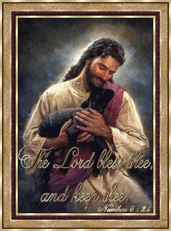 sticker_35555334_172