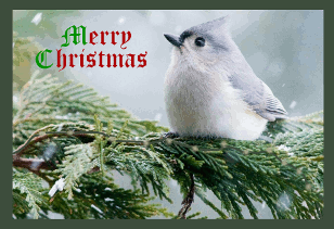 sticker_35271306_326
