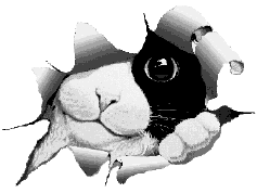 sticker_73606741_546