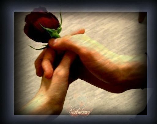 sticker_6013211_38278330