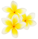 sticker_12982974_30963195