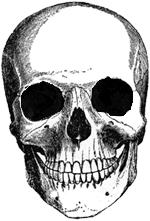sticker_9631538_12835622