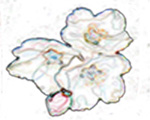 sticker_2218357_3445941