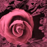 Etiqueta_577066_840433