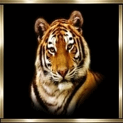 sticker_25931226_47432023