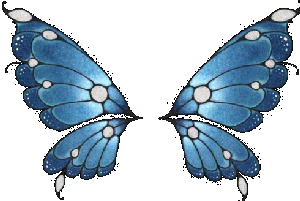 adesivo_3311272_3783158