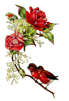 çıkartma _126818772_15