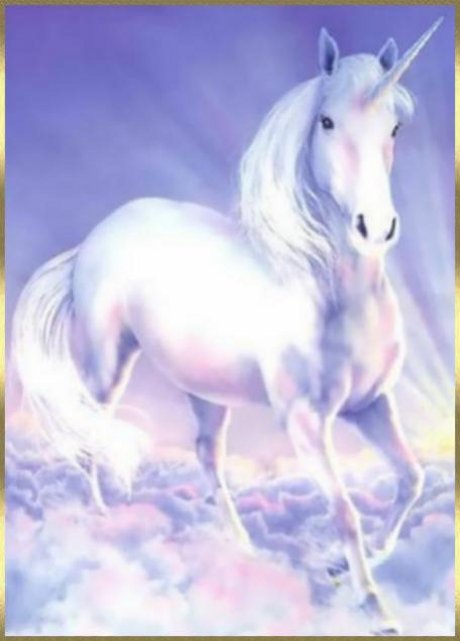 sticker_1381884_1957909