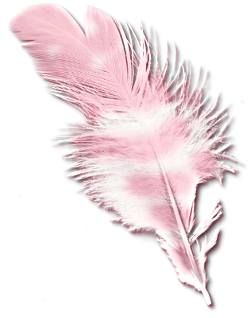 Klistremerker _128475620_22