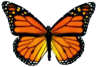 Etiqueta_10872943_15752266
