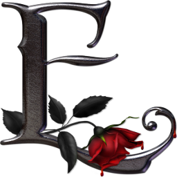 adesivo_155707399_5
