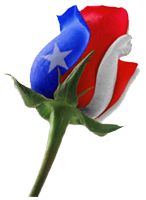 sticker_2903307_23667389