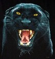 sticker_21267108_30039322