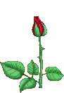 sticker_2192548_3560998