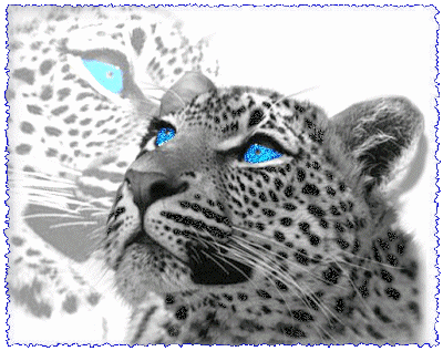 sticker_12683896_16687091