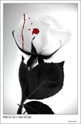 sticker_16989379_23936194
