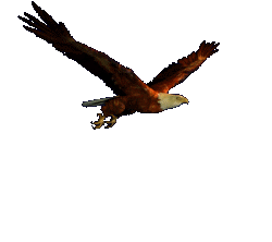 [stíc~kér_8336225_34298537]