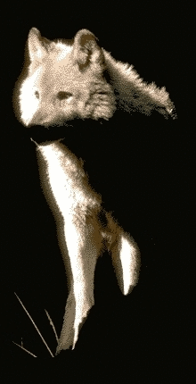 [stíc~kér_4470790_26524922]