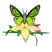 sticker_2388671_3161047