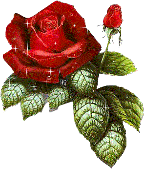 sticker_4321741_12330105
