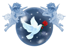 adesivo_4621262_5540020