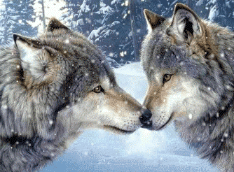 sticker_12162889_26057314