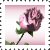 sticker_6340325_44969309