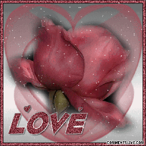 sticker_12799892_44282273