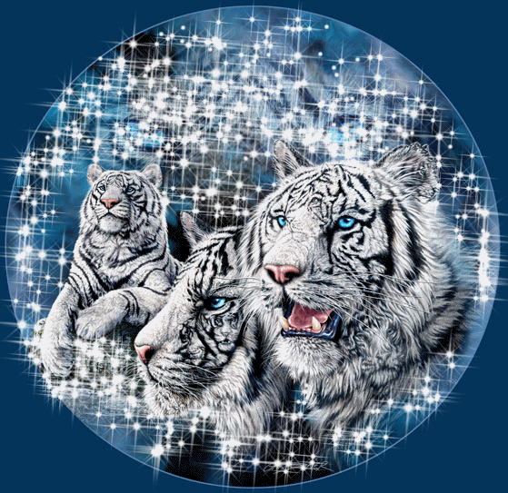 sticker_24923953_44799835