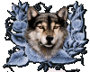 sticker_378229388_14