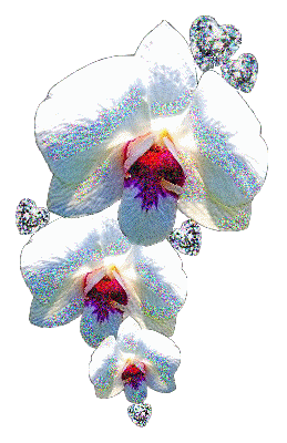 Abziehbild_24201481_36106538
