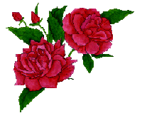 sticker_8831630_14419375
