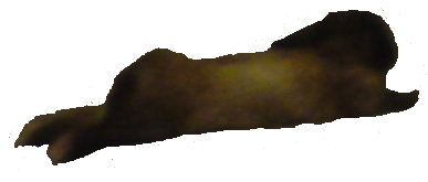 klistermärke_4154704_46050399