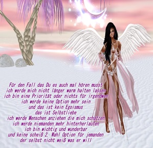 adesivo_294066575_33