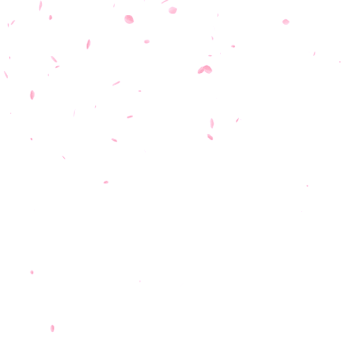 adesivo_63140346_15