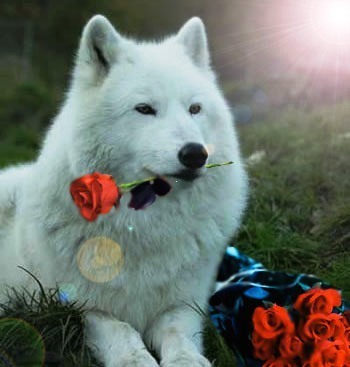 sticker_14615887_22615412