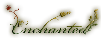 adesivo_27714208_40041675