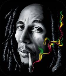 sticker_2013148_8260657