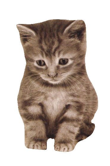 sticker_40543162_36