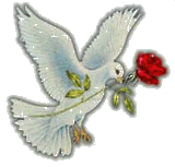 adesivo_138332268_4