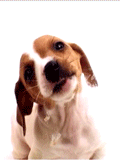 sticker_25984169_37498554