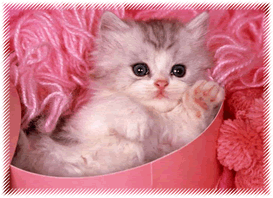 Sticker_5275737_8907282